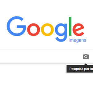 Busca de Imagem no Google